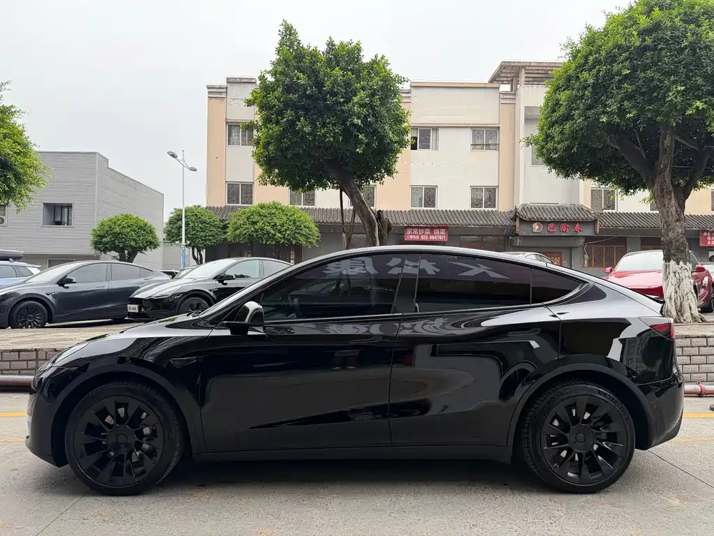 Tesla Model Y — фото 4