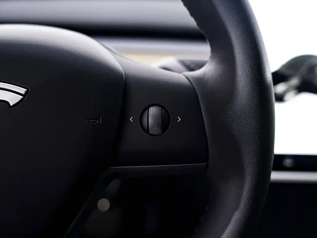 Tesla Model Y — фото 25