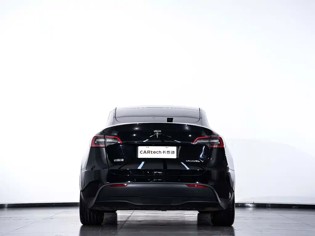 Tesla Model Y — фото 26