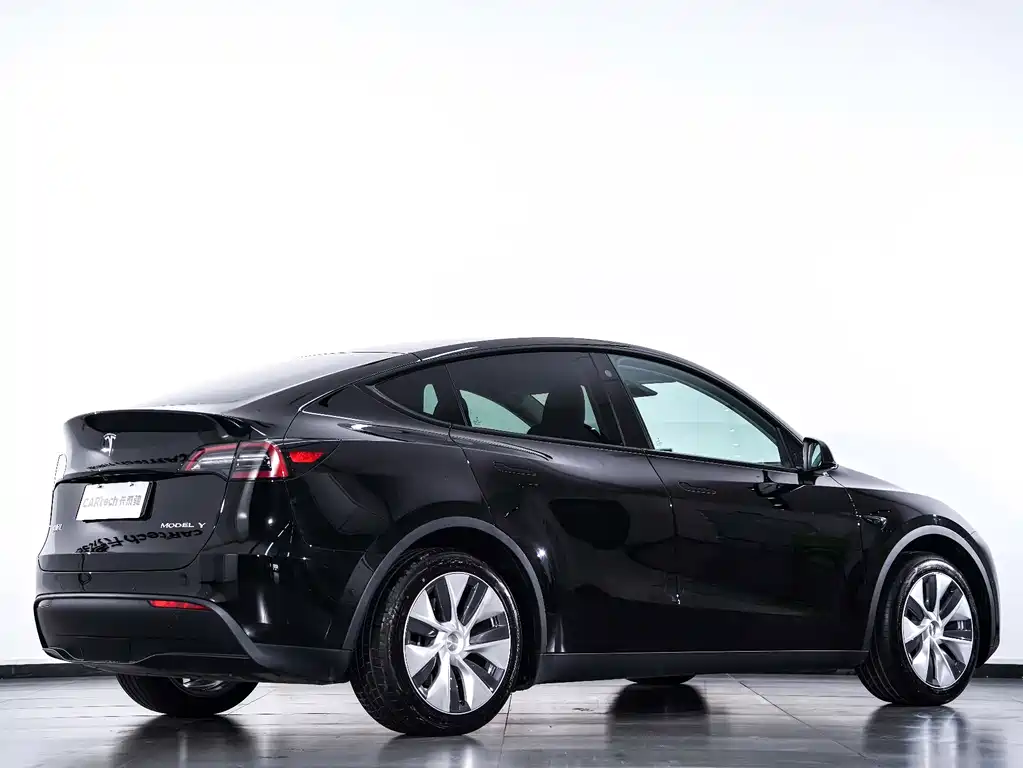 Tesla Model Y — фото 28
