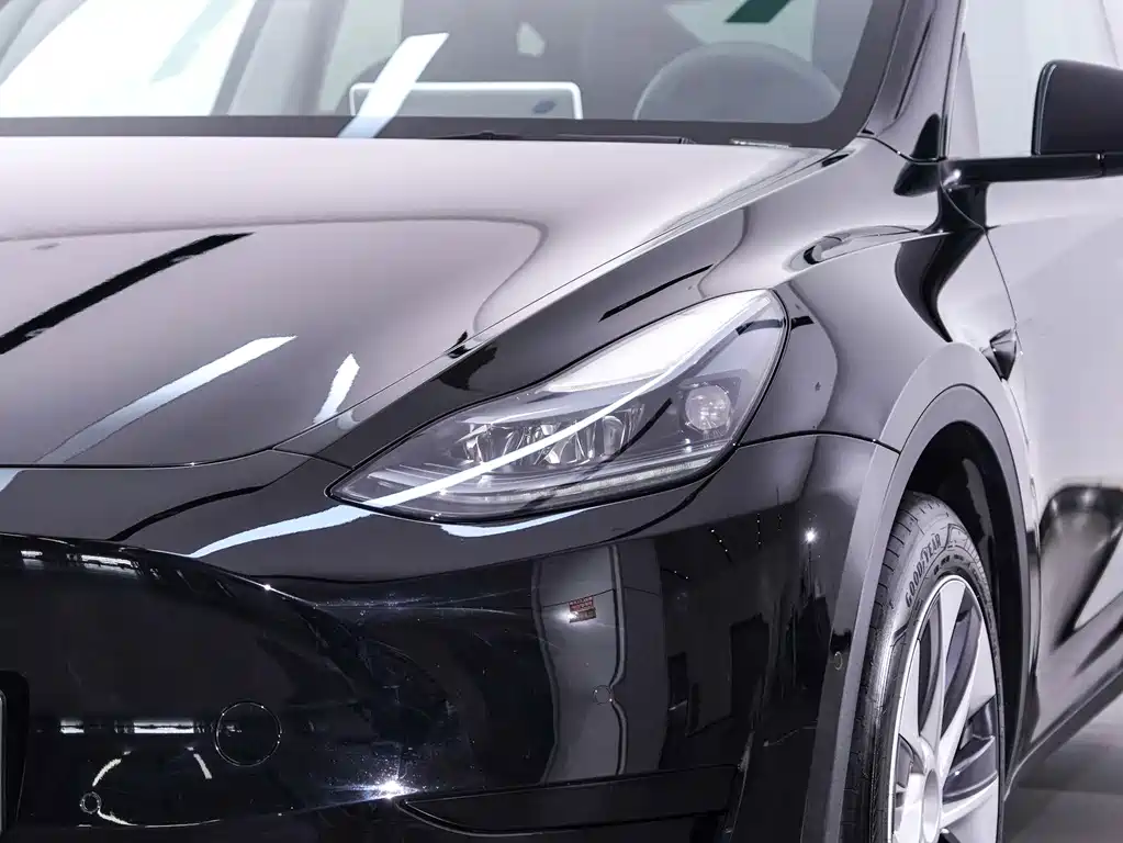 Tesla Model Y — фото 30