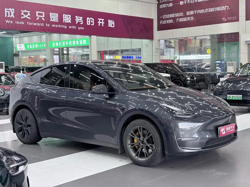Tesla Model Y — фото 2