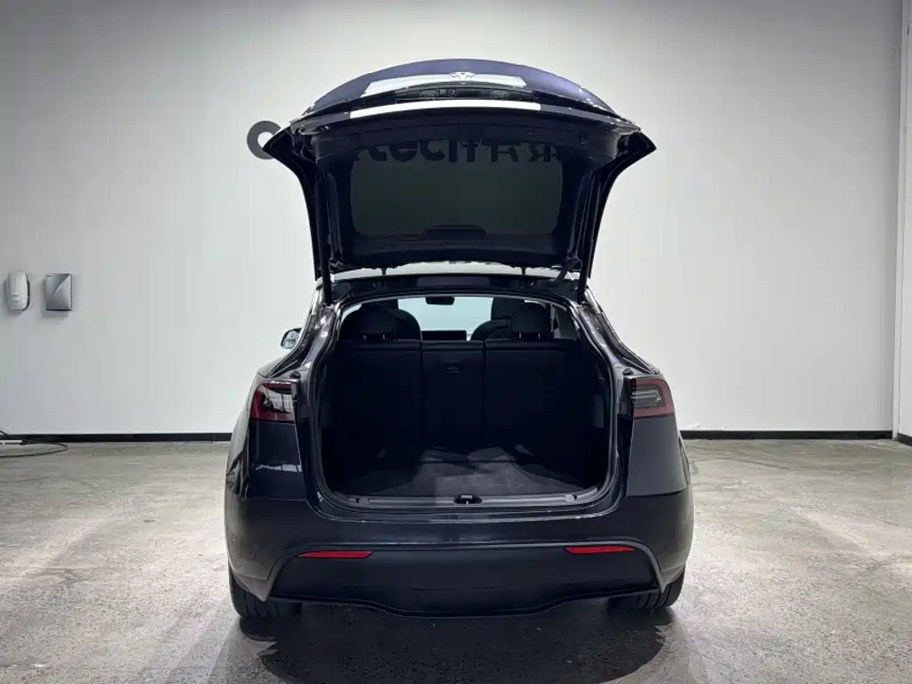 Tesla Model Y — фото 14