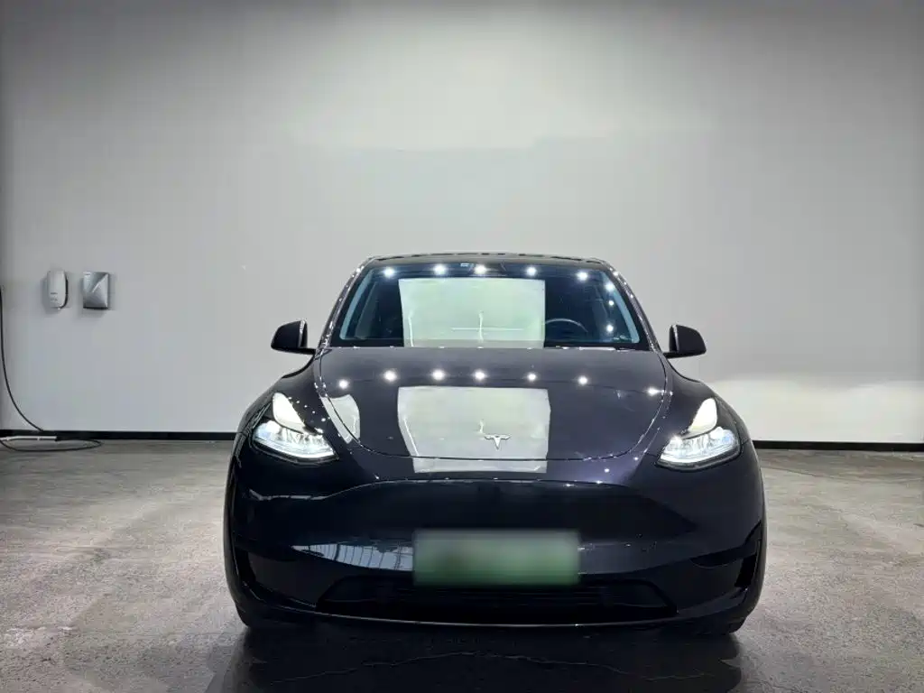 Tesla Model Y — фото 5