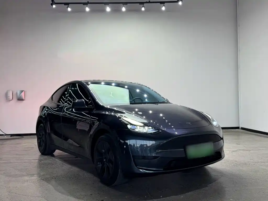 Tesla Model Y — фото 6