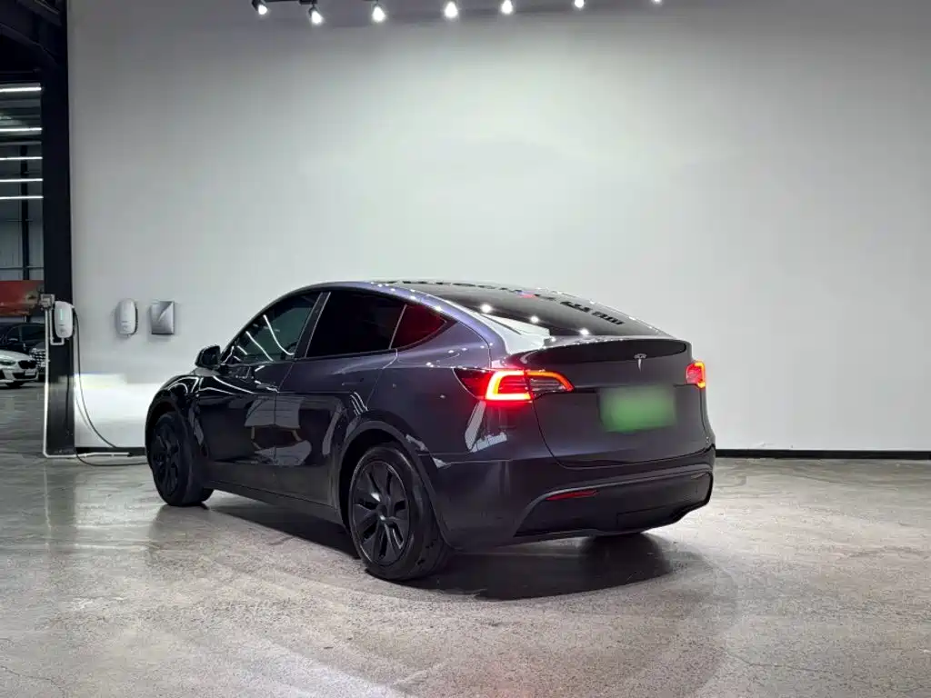 Tesla Model Y — фото 8