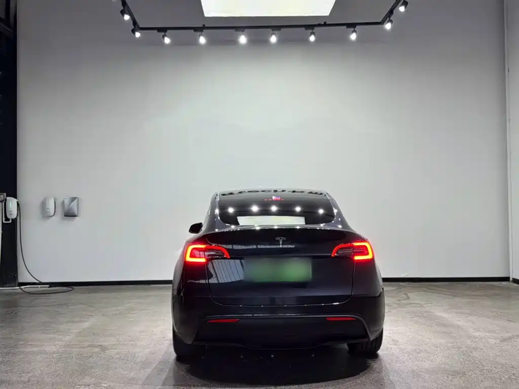 Tesla Model Y — фото 9