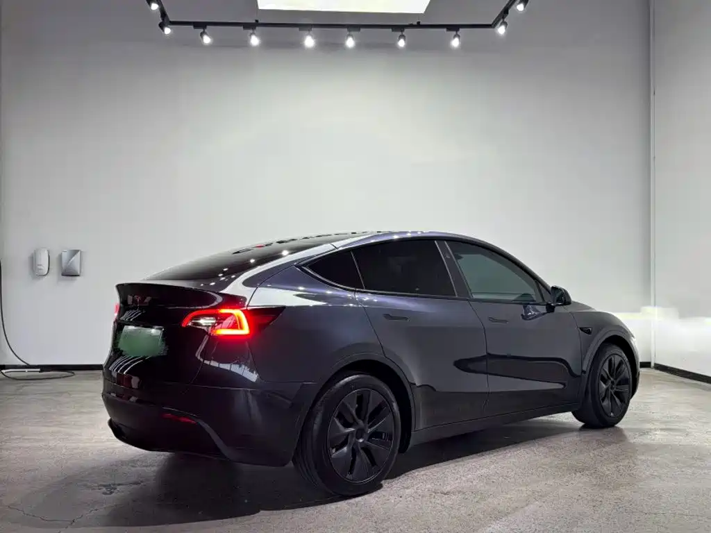 Tesla Model Y — фото 10