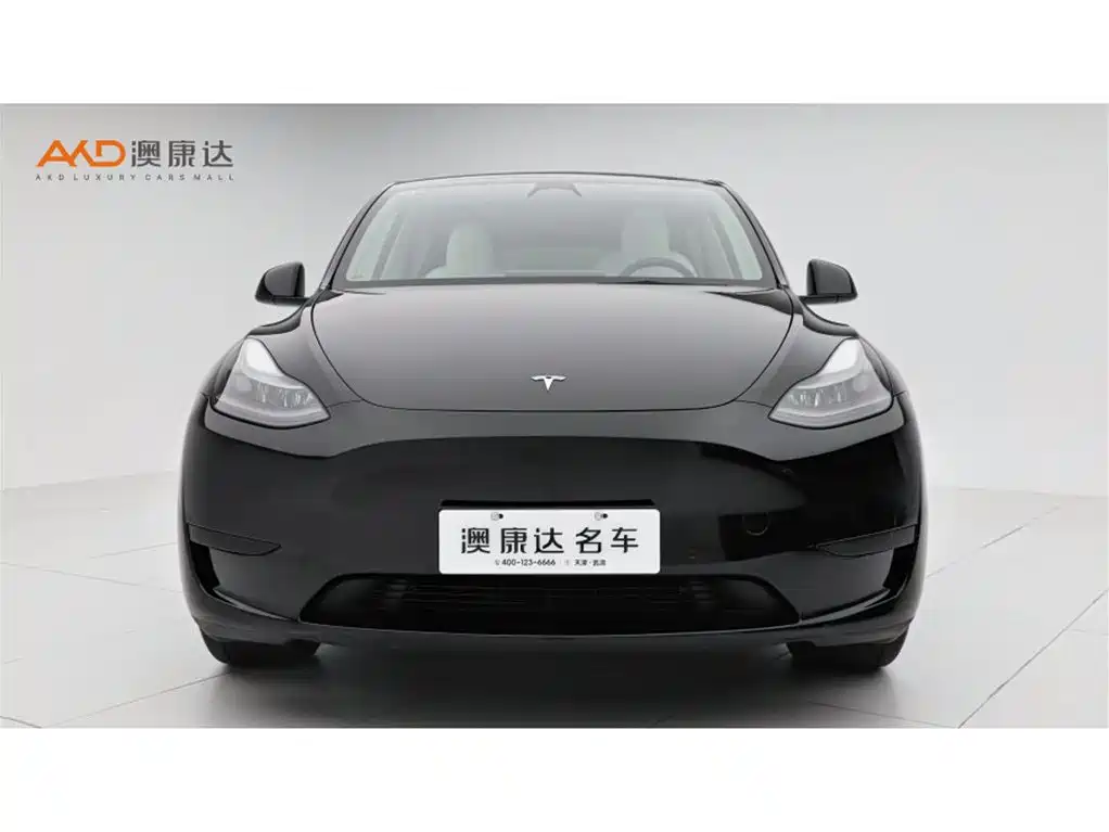Tesla Model Y — фото 2