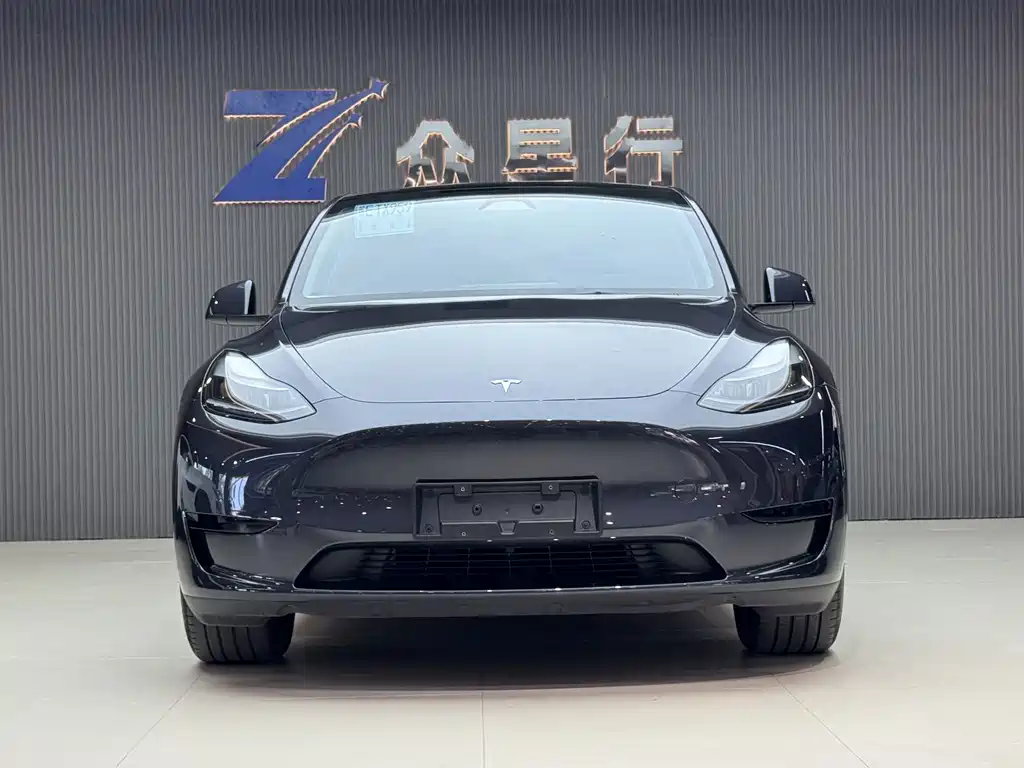 Tesla Model Y — фото 2