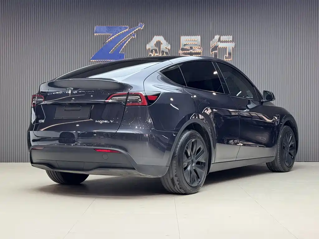 Tesla Model Y — фото 11
