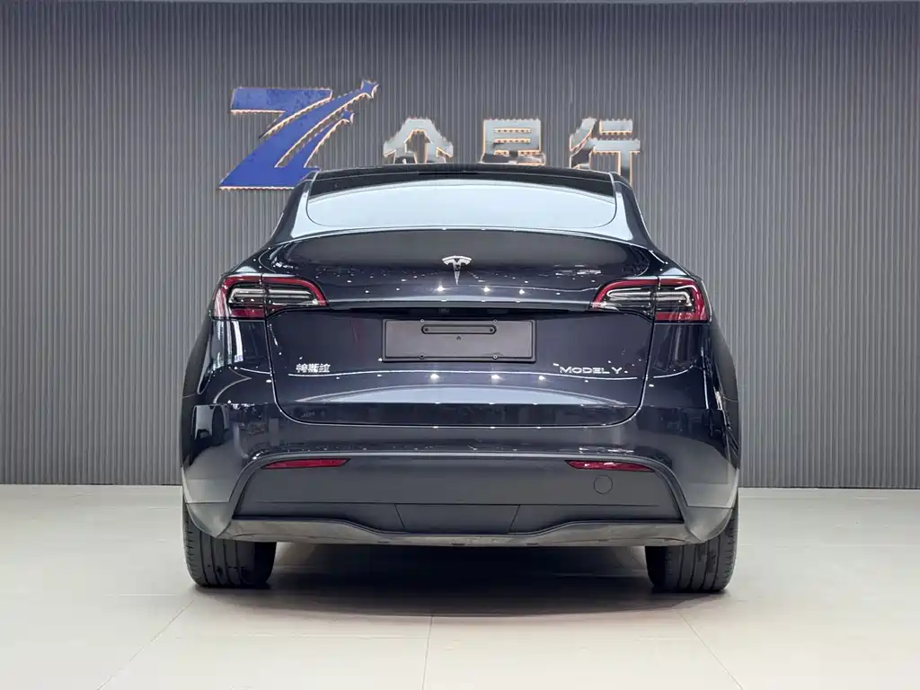 Tesla Model Y — фото 10