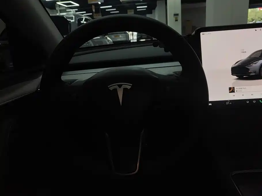 Tesla Model Y — фото 15