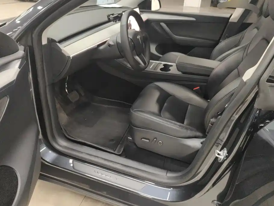 Tesla Model Y — фото 9