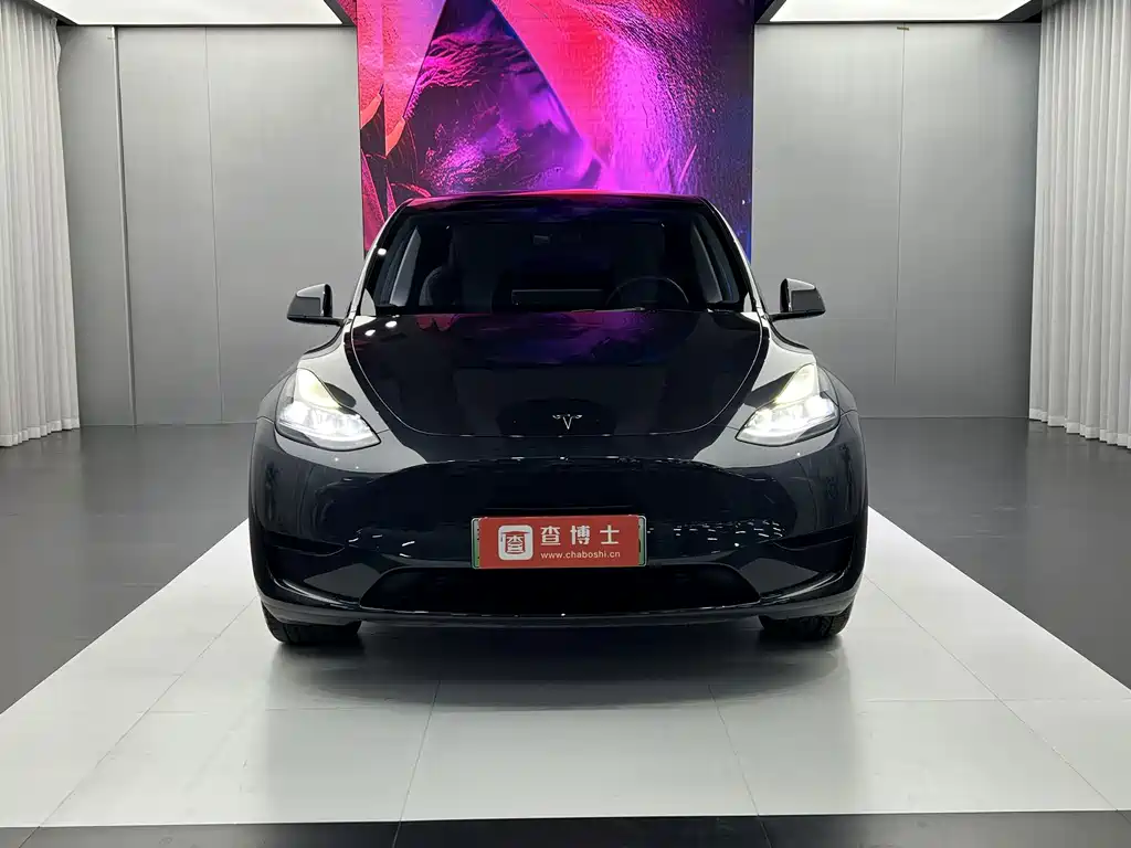 Tesla Model Y — фото 2
