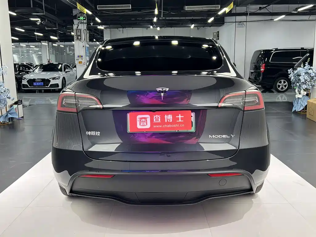 Tesla Model Y — фото 10