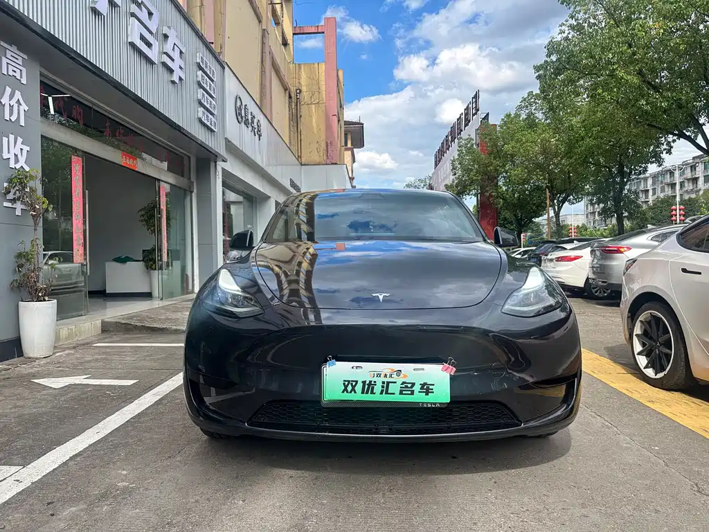 Tesla Model Y — фото 2