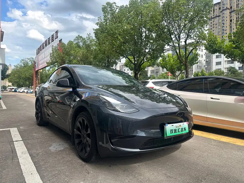 Tesla Model Y — фото 3