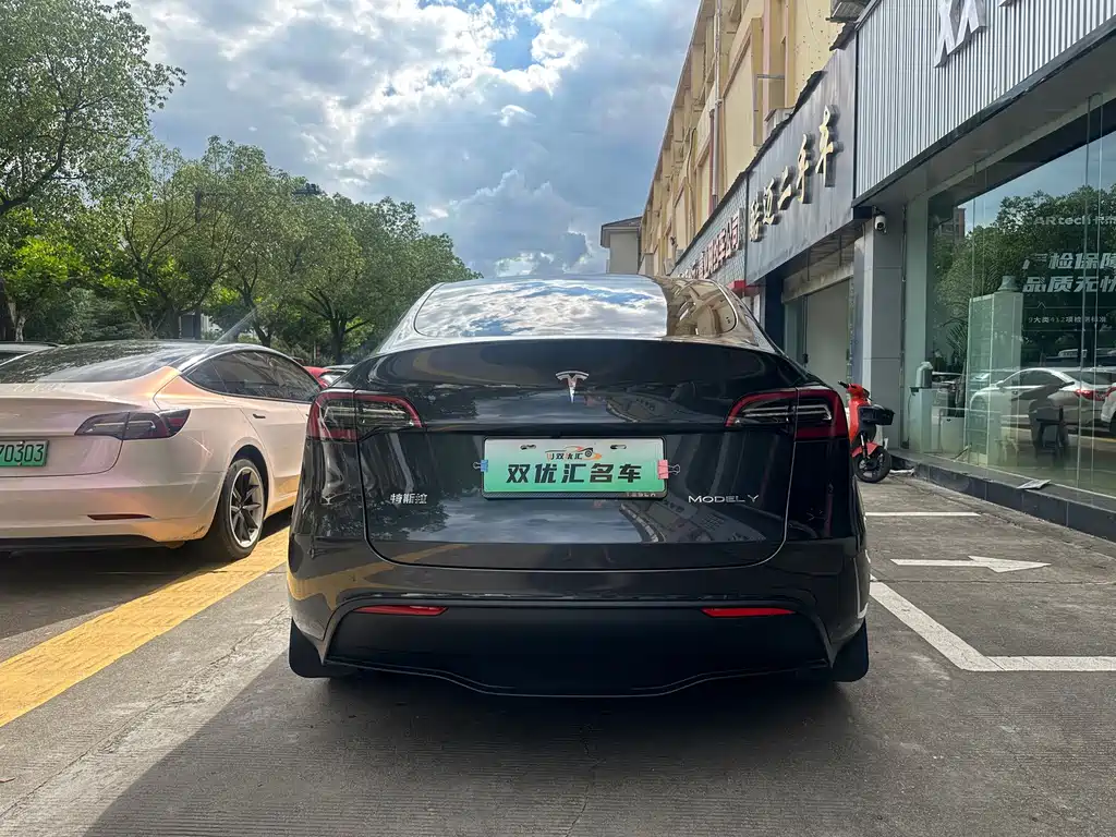 Tesla Model Y — фото 8