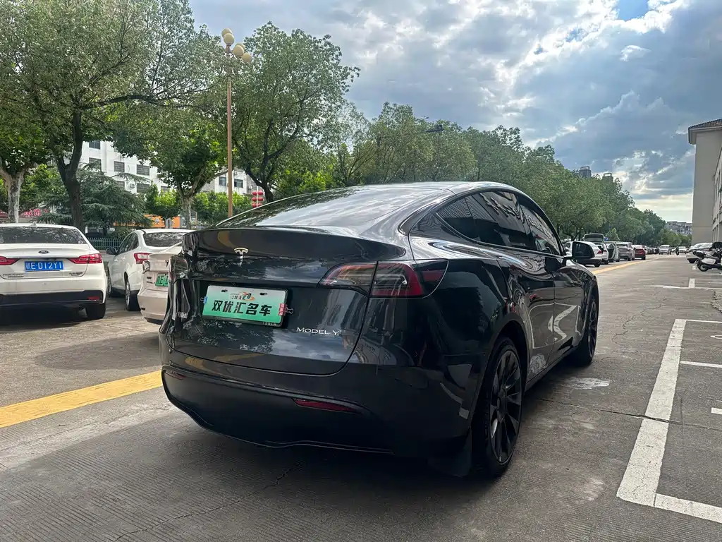 Tesla Model Y — фото 9
