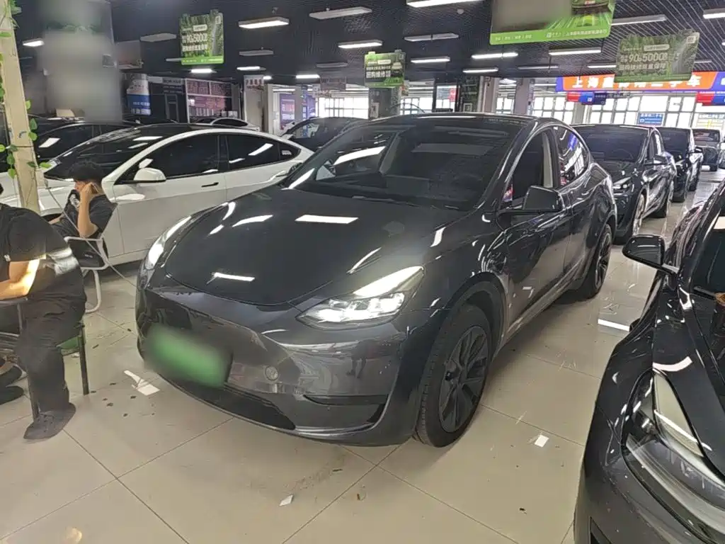 Tesla Model Y — фото 2
