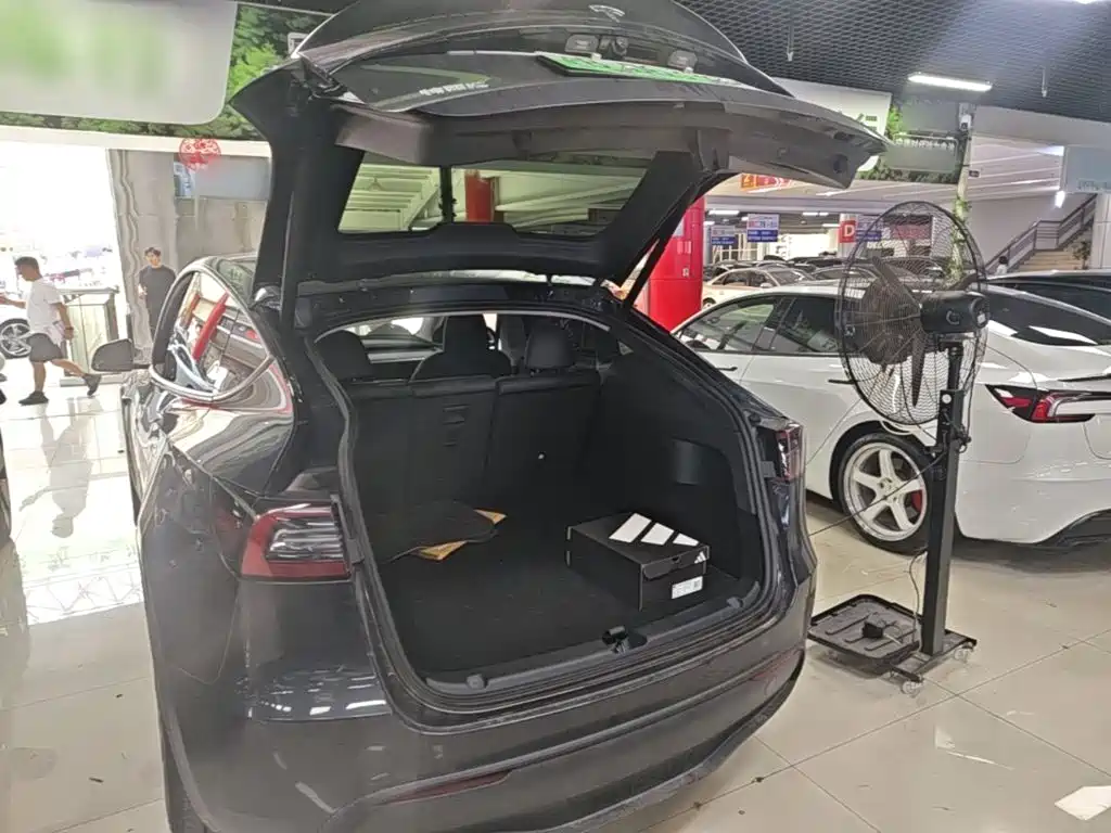 Tesla Model Y — фото 19