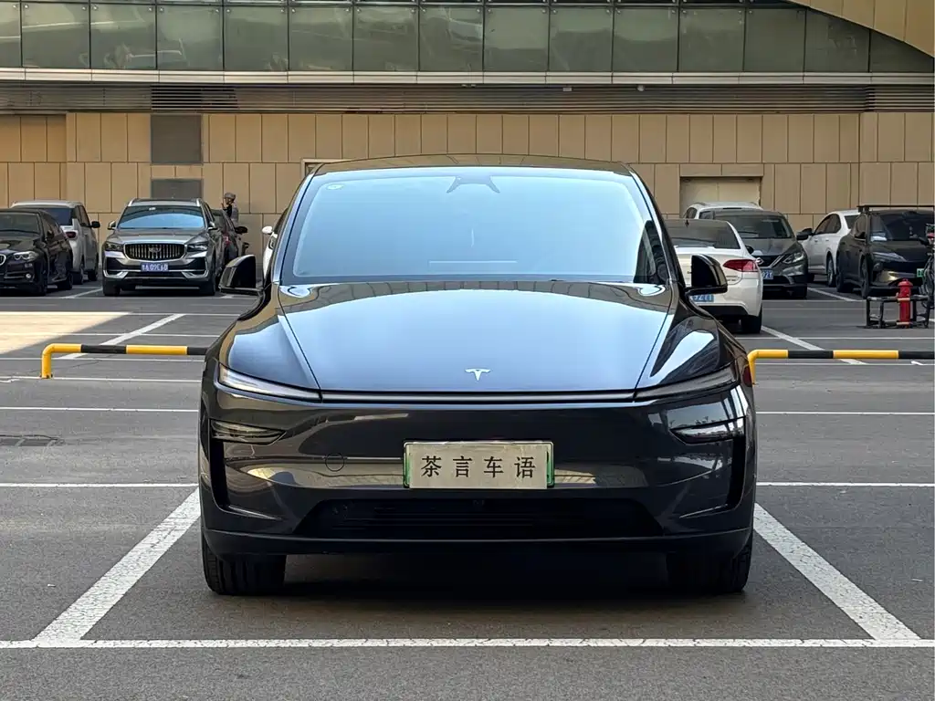 Tesla Model Y — фото 2