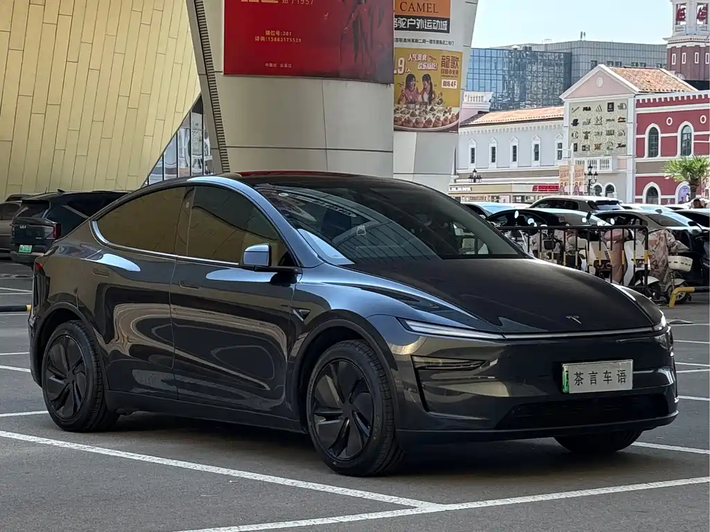 Tesla Model Y — фото 3