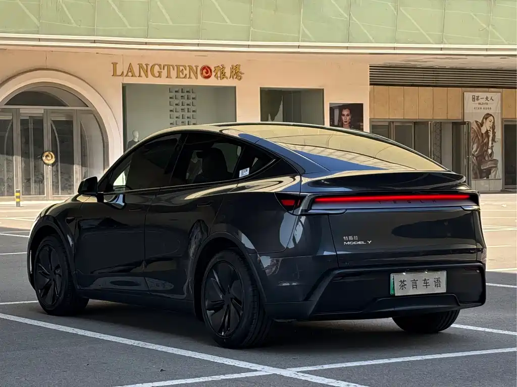 Tesla Model Y — фото 6