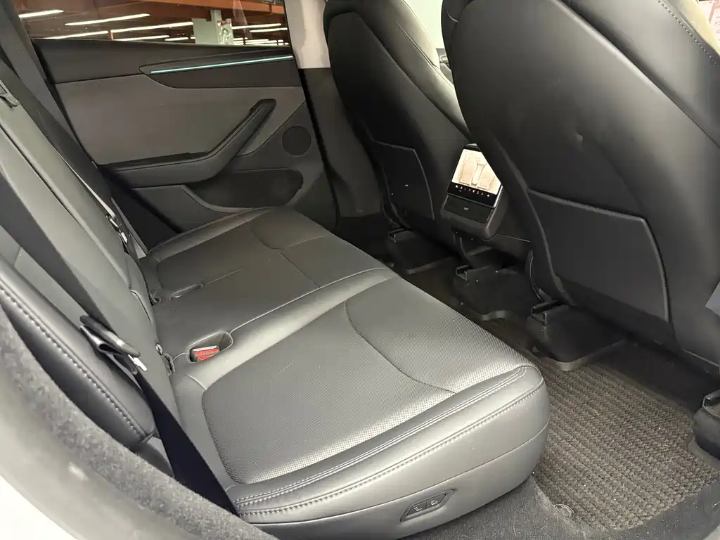 Tesla Model Y — фото 11