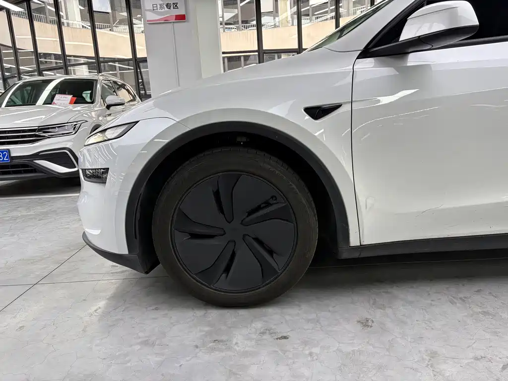 Tesla Model Y — фото 14