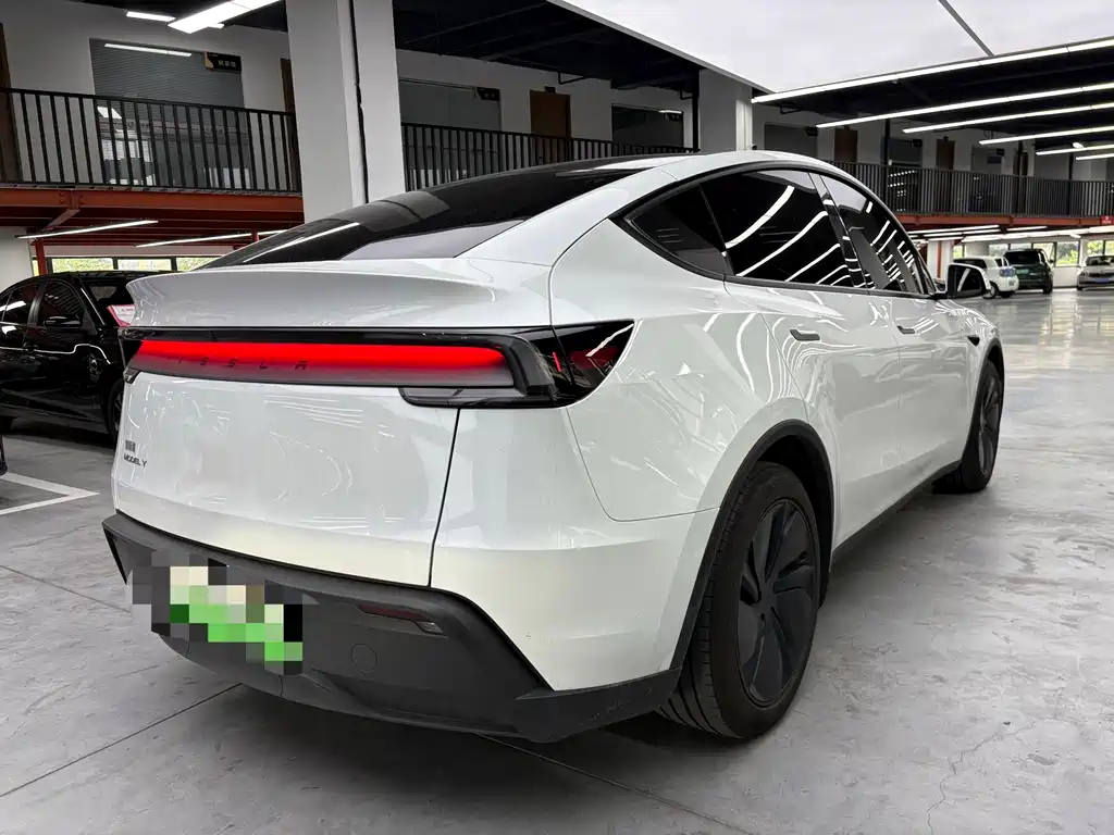 Tesla Model Y — фото 18