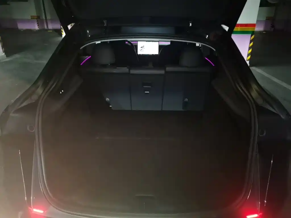 Tesla Model Y — фото 19