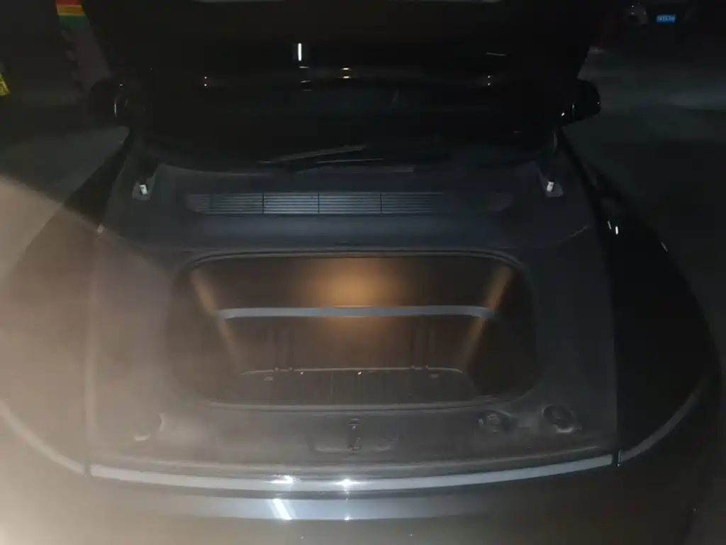 Tesla Model Y — фото 20