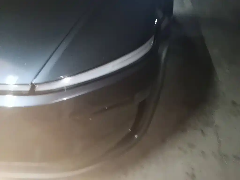 Tesla Model Y — фото 24