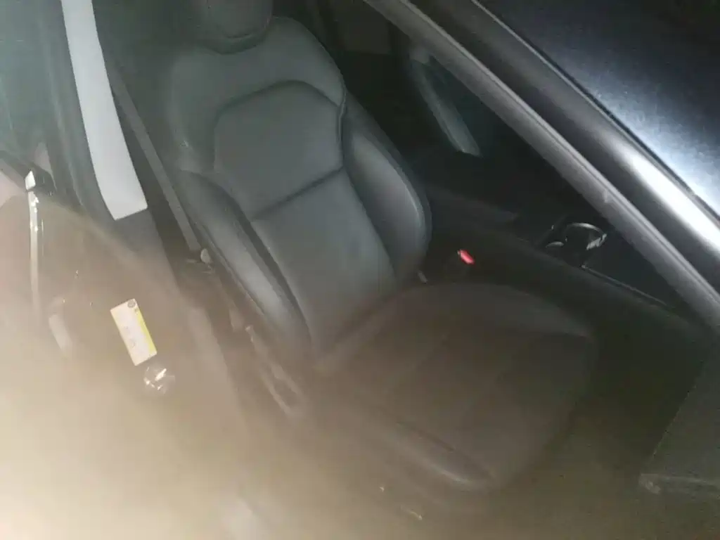 Tesla Model Y — фото 25