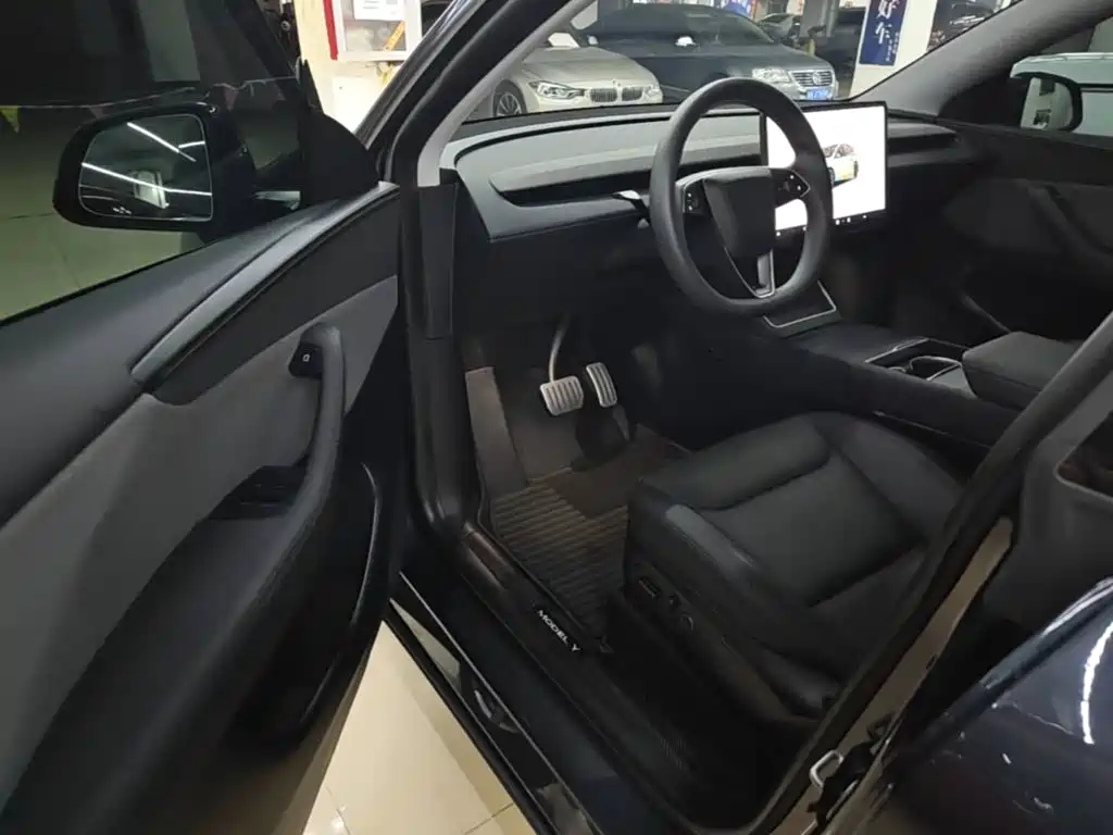 Tesla Model Y — фото 15