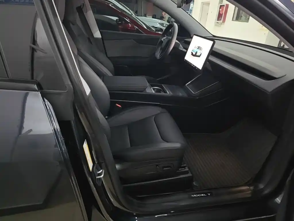 Tesla Model Y — фото 25