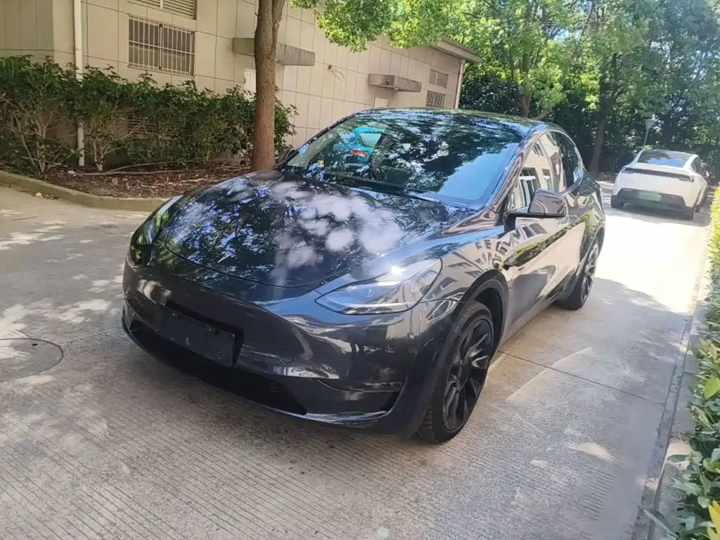 Tesla Model Y — фото 2
