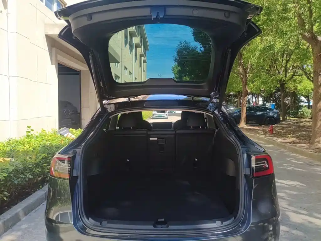 Tesla Model Y — фото 19