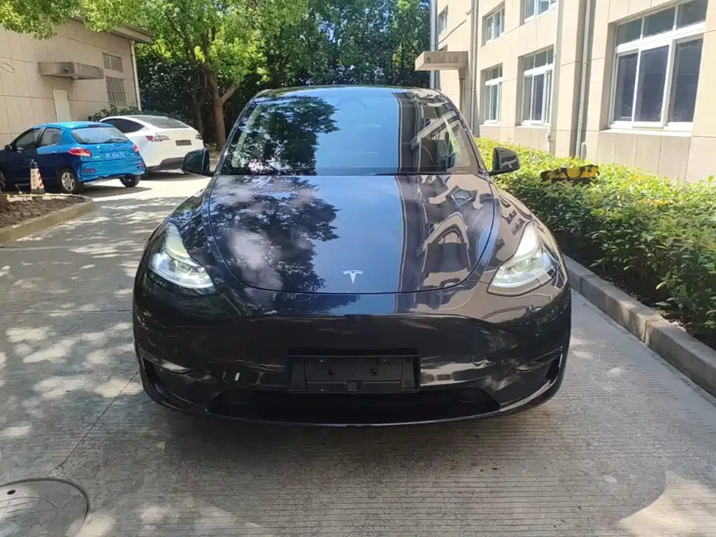 Tesla Model Y — фото 3