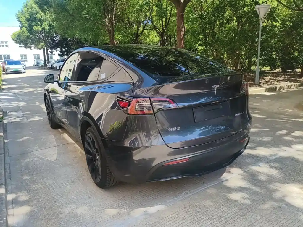 Tesla Model Y — фото 5