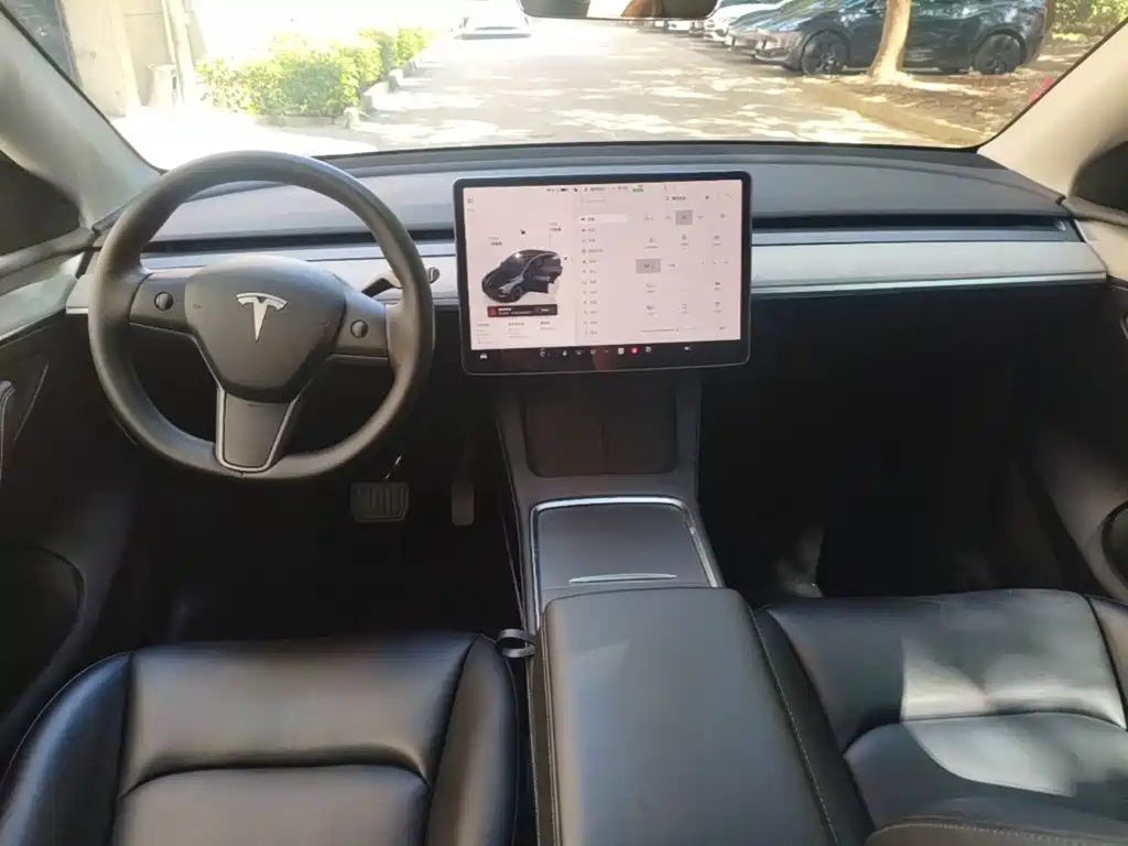 Tesla Model Y — фото 10