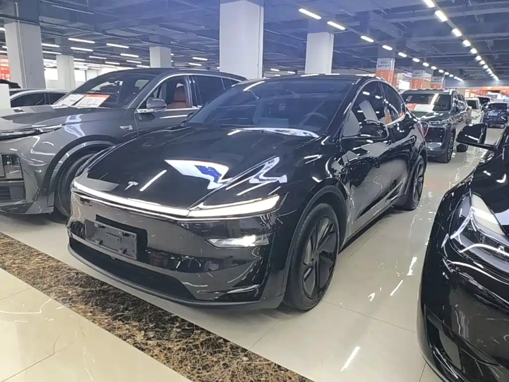 Tesla Model Y — фото 2