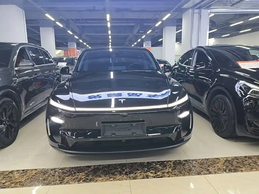 Tesla Model Y — фото 3