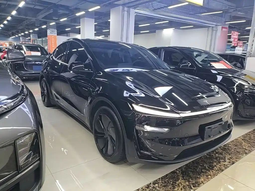 Tesla Model Y — фото 4
