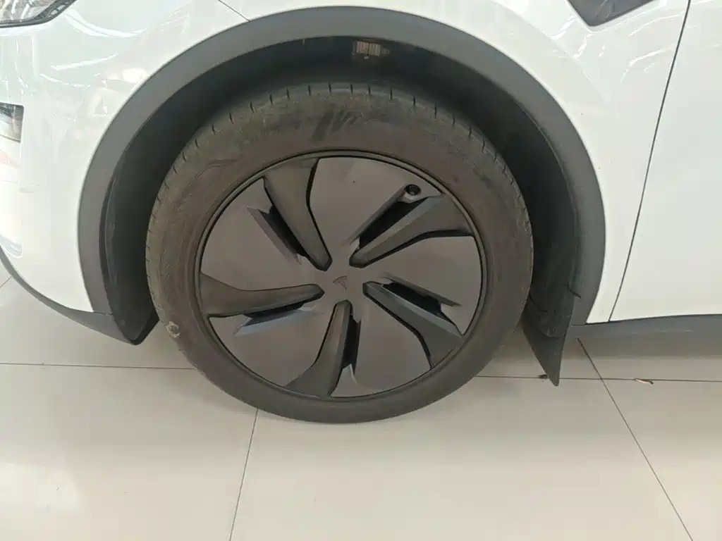 Tesla Model Y — фото 23