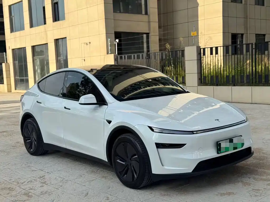 Tesla Model Y — фото 3