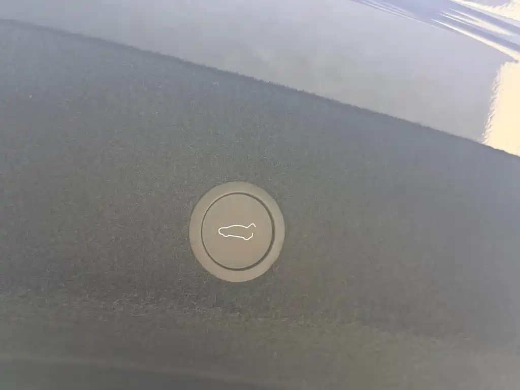 Tesla Model Y — фото 20