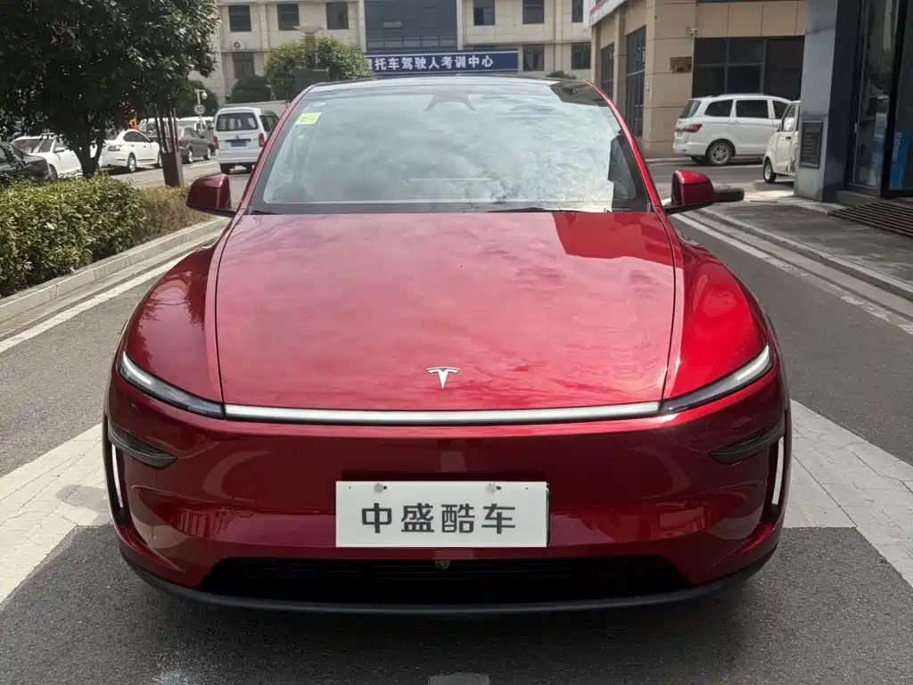Tesla Model Y — фото 2